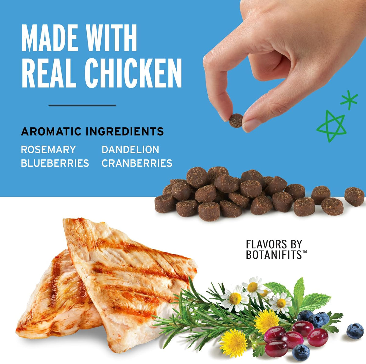 Training Rewards Mini Soft & Chewy Dog Treats, Chicken, 10 Oz