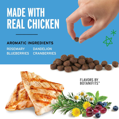 Training Rewards Mini Soft & Chewy Dog Treats, Chicken, 10 Oz