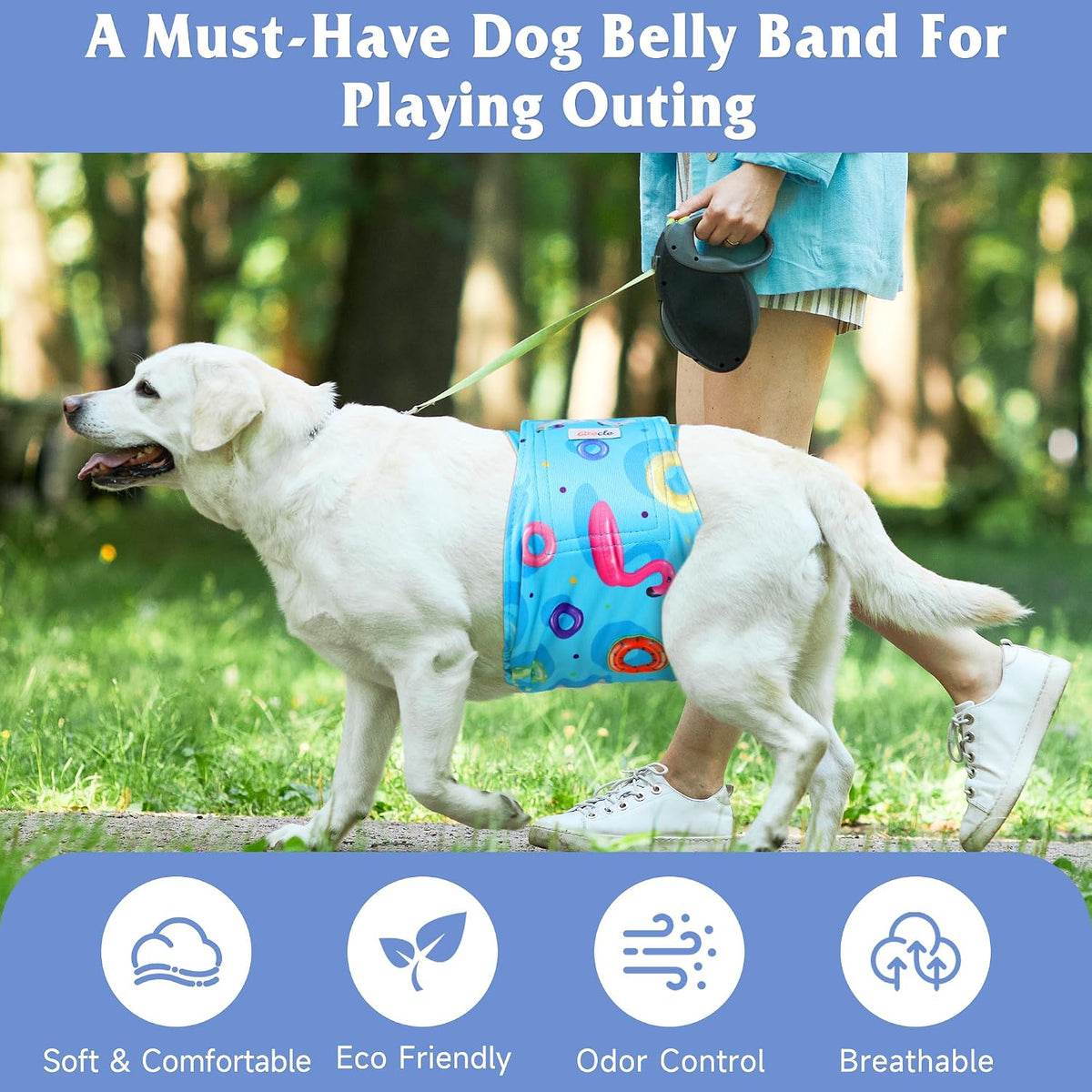 Dog Belly Bands for Male Dogs 5 Pack, Reusable Male Dog Diapers, Washable Belly Bands, Adjustable Pee Wraps for Marking, Incontinence & Training, Rabbit, S