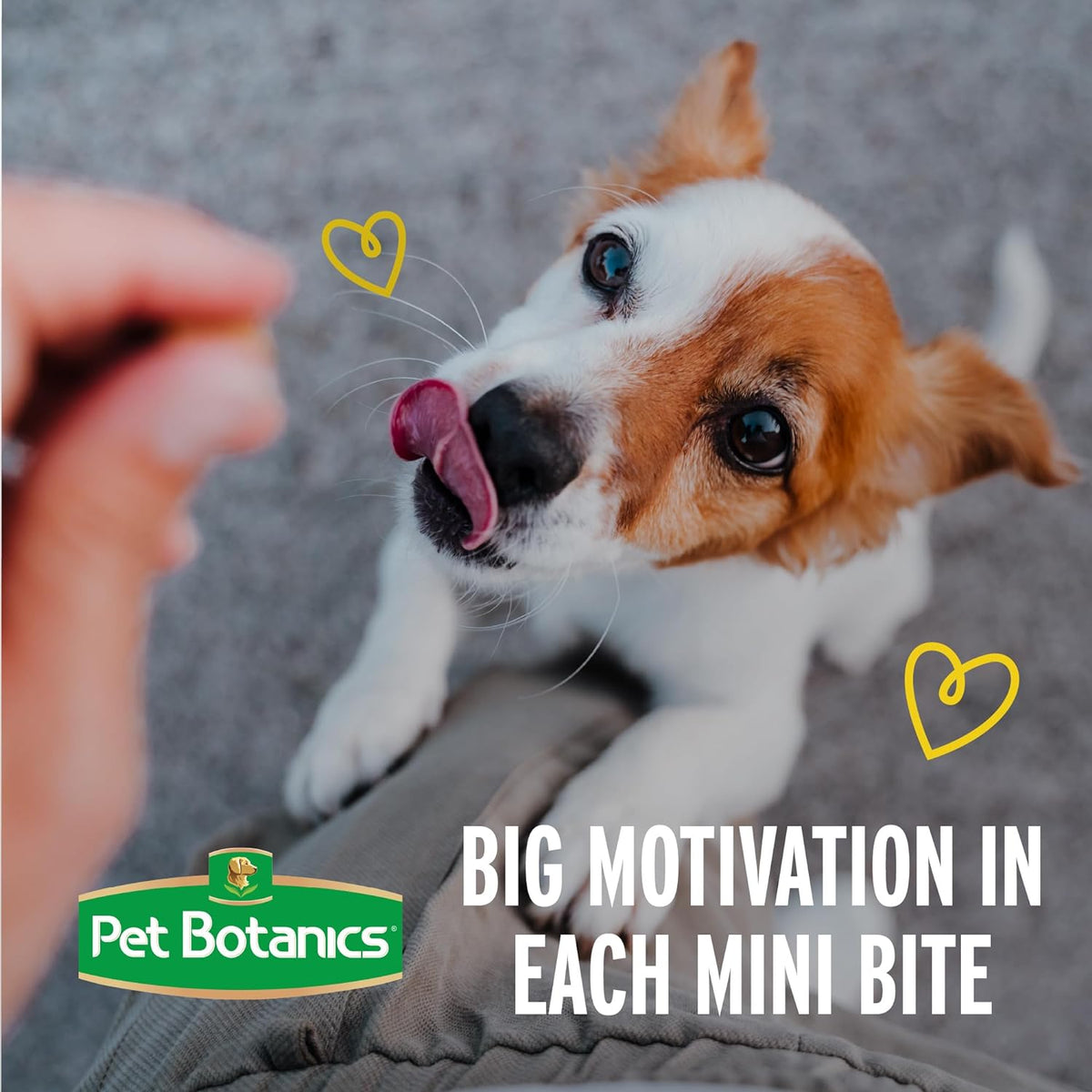 Training Rewards Mini Soft & Chewy Dog Treats, Chicken, 10 Oz